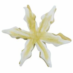 Kitchenaid Shop -Kitchenaid Shop 201 175082 A01